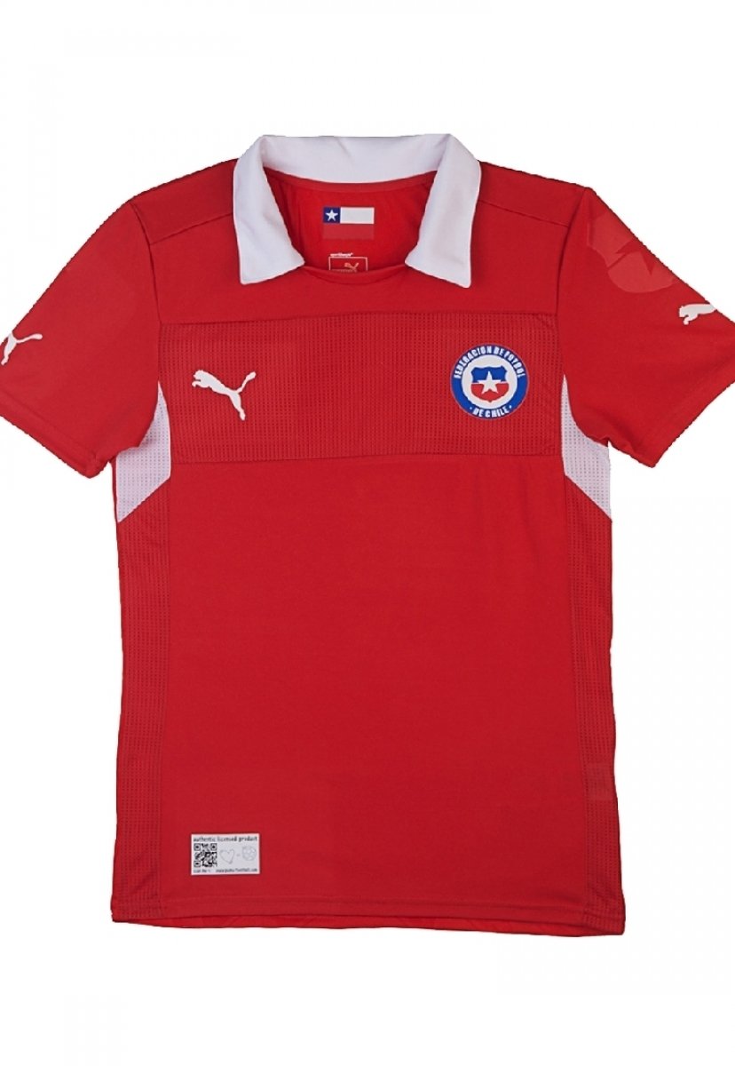Sur oeste Propio Mendicidad Camiseta Puma Oficial selección Chilena Roja - Compra Ahora | Dafiti Chile