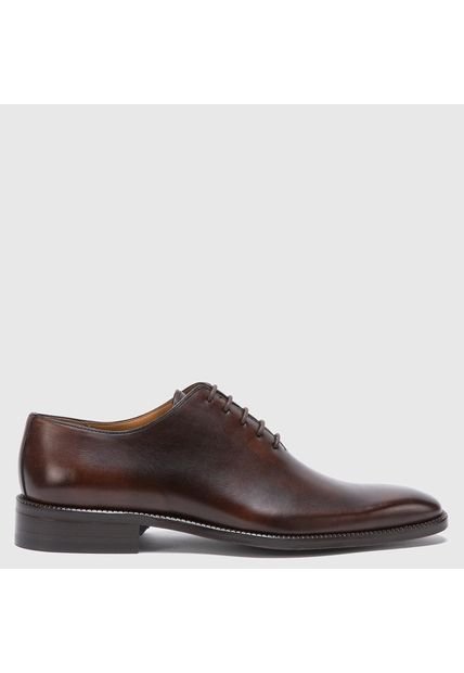 Zapato  Chocolate  Guante